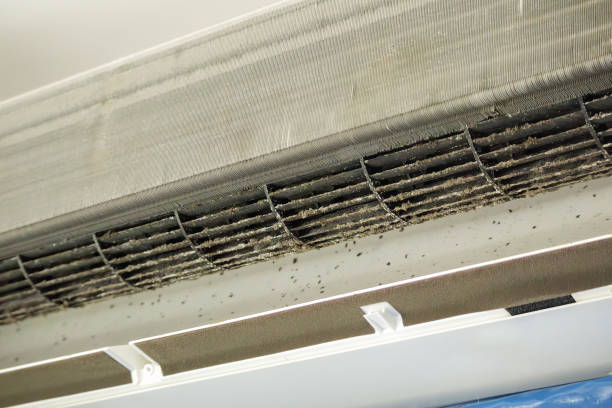 Professional Airduct Cleaning in Red Lake Falls, MN